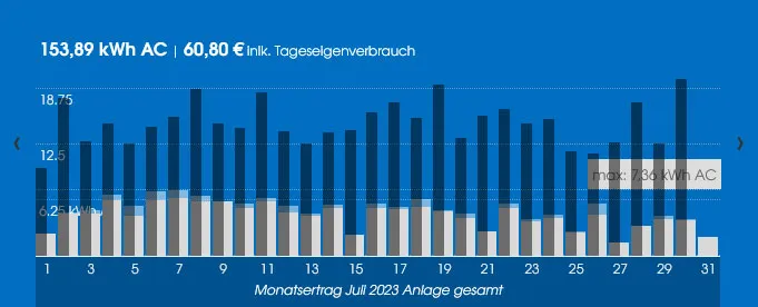 Monatsansicht Balkendiagramm:  schwarz: Stromverbrauch,  hellgrau: